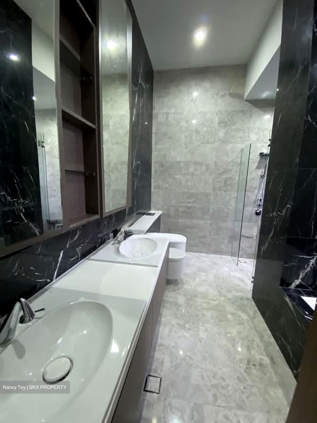 V On Shenton (D1), Apartment #556336911